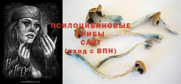 apvp Болхов